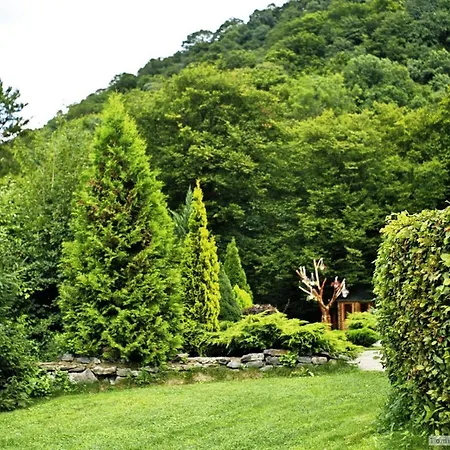 Kamelot 4* Kamenitsa