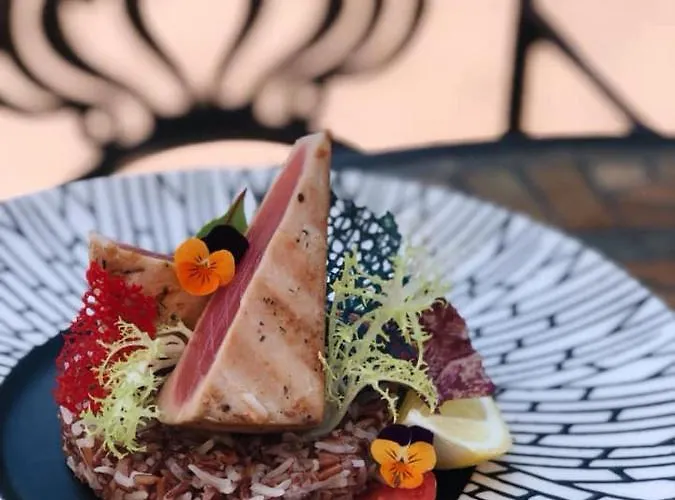 酒店 Kamelot Kamenitsa